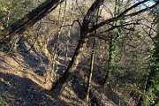 66 Scendendo il sentiero dai Prati Parini a Botta di Sedrina